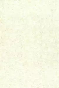 (CR29) [Colorium (Various)] Onnanoko Iro 2001 Spring