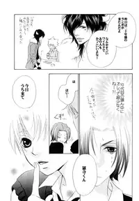 (C71) [CACAO (Atene)] SOUL SESSION (Katekyoo Hitman REBORN!)