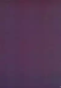 (C93) [Kodoku intelligence (Nanao)] THE BOOK OF SAKURA (Fate/stay night) [Chinese] [靴下汉化组]