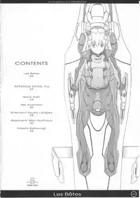 (C77) [Pantsu Kishidan (Tsuji Takeshi)] Les Betes (Neon Genesis Evangelion)