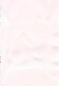 [Hiryuu Ran] Mamama Shokai Genteiban