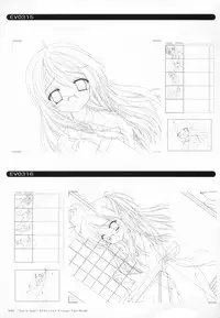 Bra-Ban Visual Fanbook