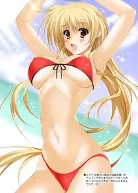 [HATENA-BOX (Oda Kenichi)] MEGAMI (Mahou Shoujo Lyrical Nanoha) [Digital]
