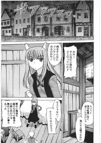 (C76) [Kacchuu Musume (Hisahiko, Shimamoto Harumi)] Smalt Leather (Spice and Wolf)