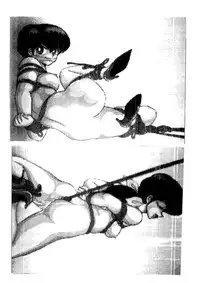 (C38) [STUDIO SHARAKU (Sharaku Seiya)] Mibojin Geshuku Sono San (Maison Ikkoku)