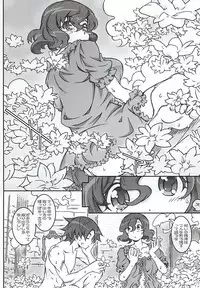 [OPEN BOOK (Toumi Haruka)] Nigella-Crisis (Sword World 2.0)