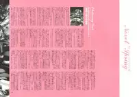 [Nishieda] Dendrobium