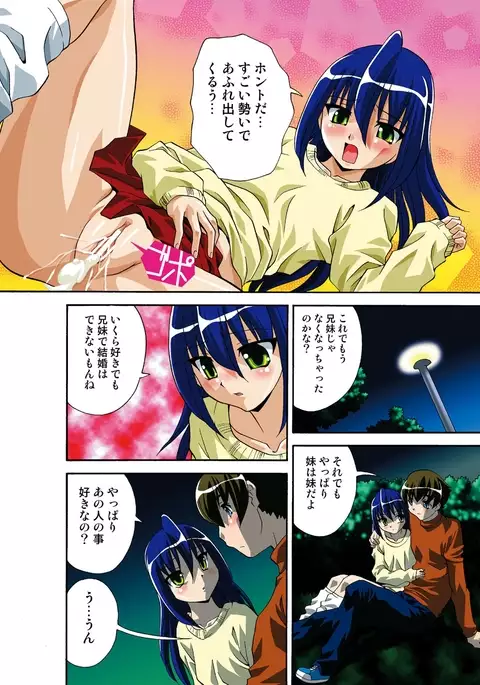 Itsuka Imouto o Okashisou na Ore no Nikuyoku