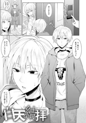 Yingzhou Stray Flower Record