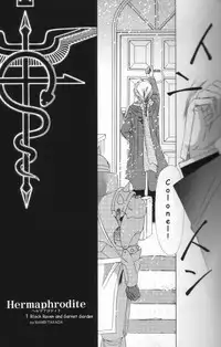 [Ronno & Kalus (Takada Bambi)] Hermaphrodite 1 (Fullmetal Alchemist) [English] [Secret Garden]