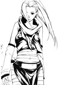 [Kishimoto Saisi] naruto ninja biography vol.02 (naruto) [chinese]