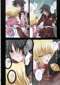 (C68) [FANTASY WIND (Shinano Yura)] satisfy (Gundam SEED DESTINY)