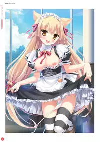 Hulotte Publicity Visual book