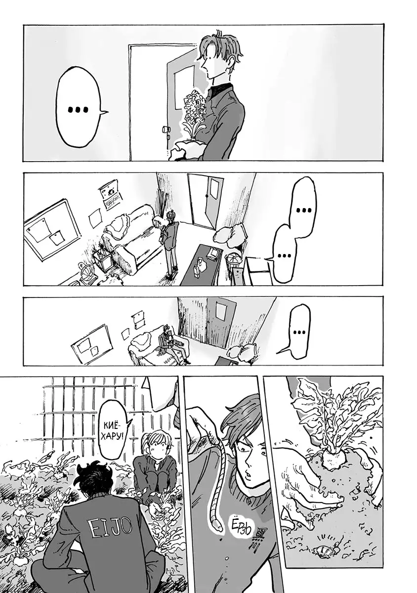 Ringo, Ki kara Ochiru