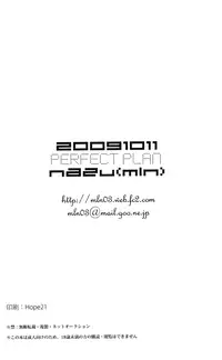 Perfect Plan (English)