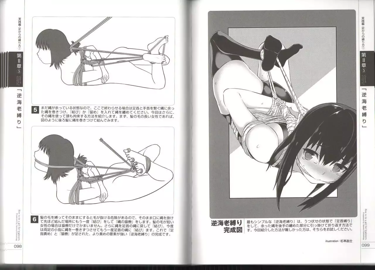 Now you can do it! Illustrated Tied How to Manual