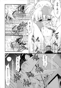 [Noraneko Nagaya] Horoama Omocha Hako