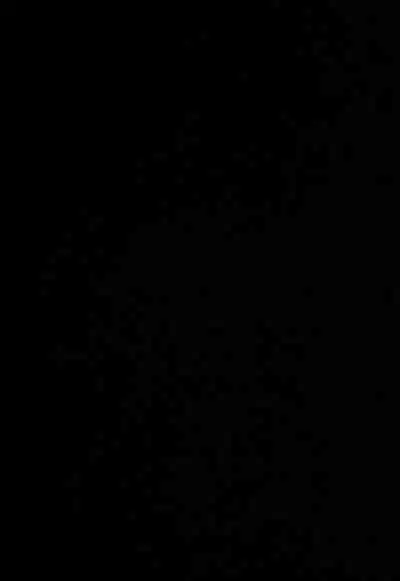 Imouto wa Mesu Orc 7