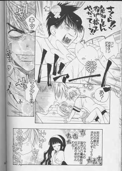 (C64) [Totsugeki Wolf (Yuuki Mitsuru)] Sakura Sakura (Cardcaptor Sakura)