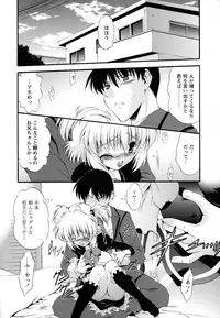 [Noraneko Nagaya] Horoama Omocha Hako