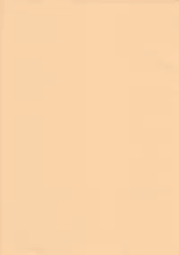 (COMIC1☆6) [B.BRS. (B.tarou)] Fukugyo no Susume (Summon Night 2)