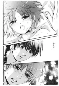 (SPARK13) [Yanagi-tei (Yanagi)] RaA Sairokushuu - Strawberry LIFE (Ranma 1/2)