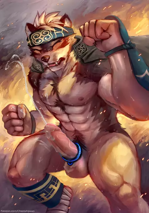 February 2017 Package Reward