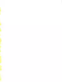 [Takashita-ya (Taya Takashi)] Baka Ja nee no 3 (Tenchi Muyo!)