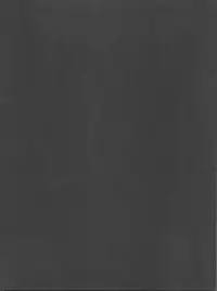 (C81) [GoldenGoblins (Nekokan)] Darkness Illusion (To LOVE-Ru)