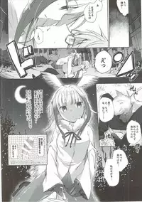 (SC2017 Winter) [Waffle Doumeiken, Hirahira (Tanaka Decilitre, Hirari)] Kedamono Friends (Kemono Friends)