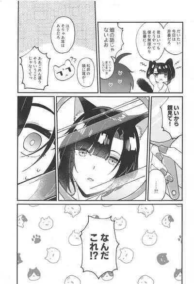 Matsui Neko-chan Hatsujouki!