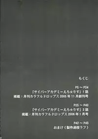 (C70) [Yakiniku Tekoku (Hayate Megumi)] Cyber Academy Ero☆Risu (Tetris)
