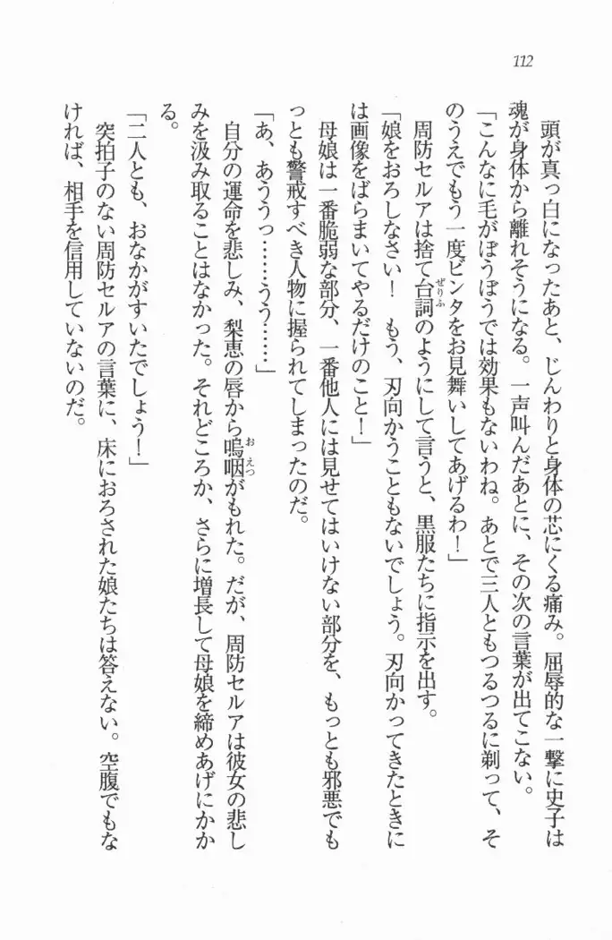 メイド喫茶 猫の隠れ家