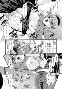 [Noraneko Nagaya] Horoama Omocha Hako