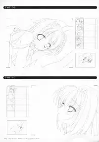 Bra-Ban Visual Fanbook