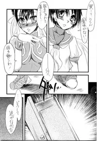 (C68) [Sarurururu (Doru Riheko)] Holic 5 Doors (Street Fighter)