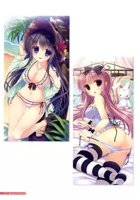 [Yukie] MOEOH Selection Flower Flower Yukie Gashuu