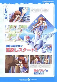 Tsunagaru Bangle - Visual Fan Book