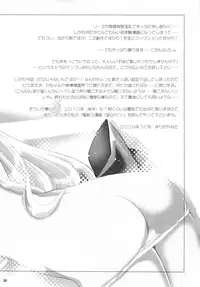 (C77) [NIKKA (Mario Kaneda)] Princess Code 04 (Seiken Densetsu 3) [English] {SaHa}