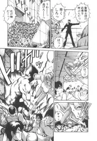 [Fujisaki Makoto] Dark Wirbel Konran-hen