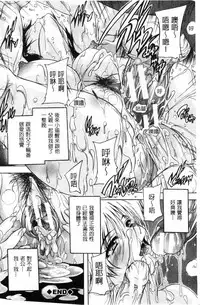 [Natsuka Q-Ya] Chichidorei [Chinese]