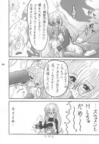 (CR33) [L-Gauge Sha (Shouryuu)] EVE (Black Cat)