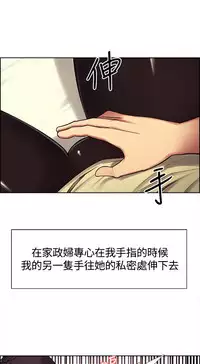 Domesticate the Housekeeper 调教家政妇 ch.1-10 (chinese)