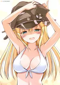 (C87) [Digital Flyer (Oota Yuuichi)] BisColle -Bismarck Collection 2014- (Kantai Collection -KanColle-)