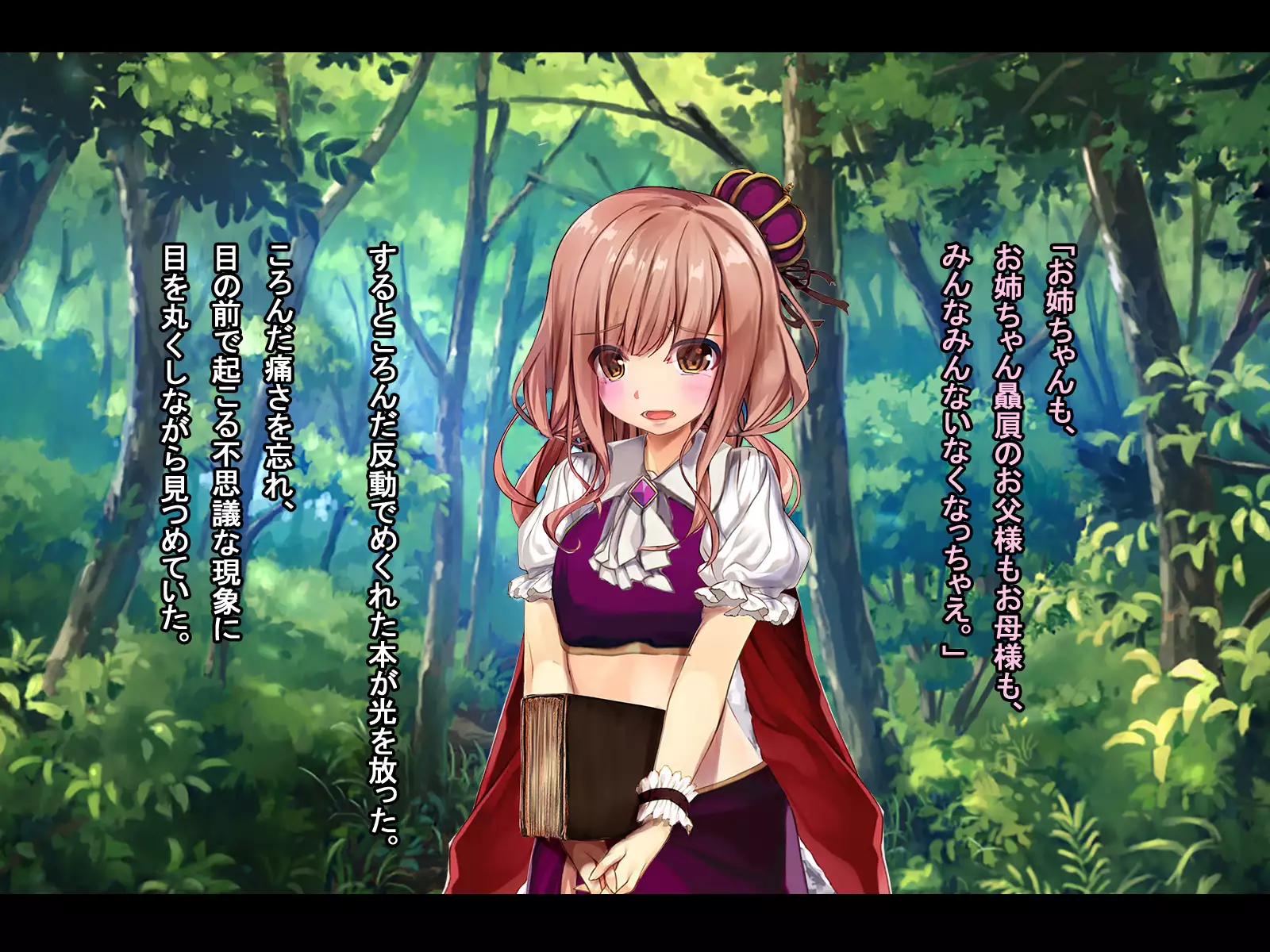 The Price of Vengeance ~Despair of a Maid and Little Sister Princess~