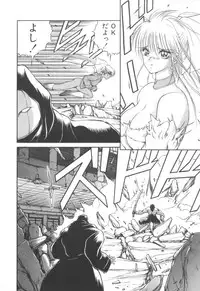 [Fujisaki Makoto] Dark Wirbel Konran-hen