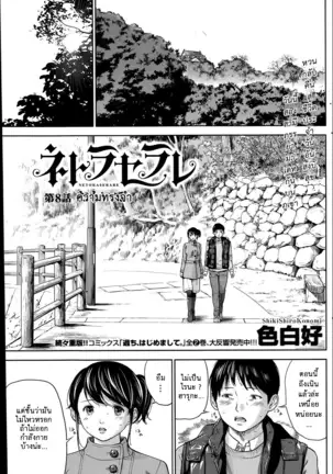 Netoraserare Vol.1-3