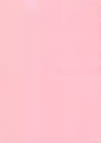 [Shimao Kazu] Flower