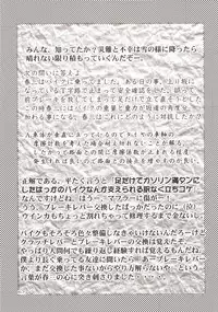 (C57) [GOLD RUSH (Suzuki Address)] ~wall~ (Excel Saga, Love Hina)