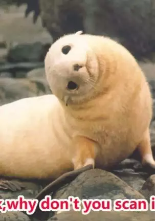 Ninokoya COMIC1☆16 Omakebon